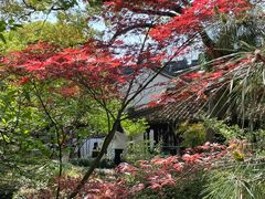 -上海醉白池公园