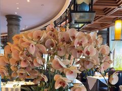 -八府香鸭·啫啫煲(华山路店)