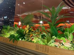 -鼎香缘海鲜自助火锅烤肉(锦辉购物广场店)