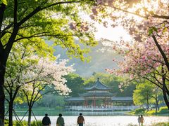 -顺峰山公园
