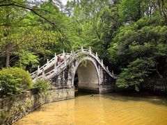 -深圳仙湖植物园