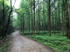 -小格里自然风景区
