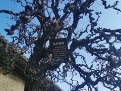 -山西王家大院
