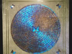 -上海昆虫博物馆