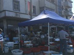 -芦潮港集贸市场