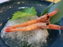 -北海银滩·鉳海(星湖店)