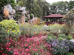 -东莞植物园