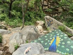 -黑龙潭风景区