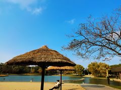 -上海佘山世茂艾美酒店