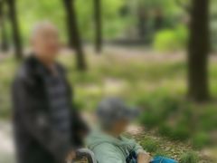 -华诚轮椅租赁+轮椅出租