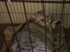 -H立方实景剧情密室(天河旗舰店)