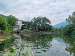 -楠溪江风景名胜区