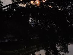 -三垟湿地