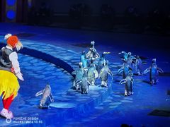 -珠海横琴长隆《卡卡虎奇遇记》