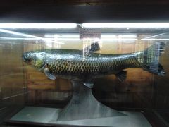 -南京金牛湖风景区