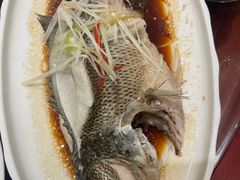 -好妈王饺子(滂江街店)