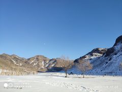 -新疆天山野生动物园