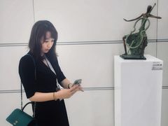 -凤凰中心