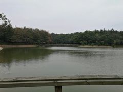-象山森林公园