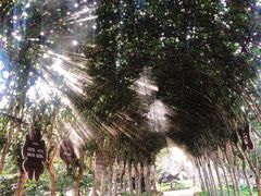 -武汉紫薇都市田园