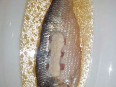android_upload_pic-福1039(愚园路店)