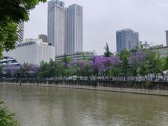 -成都市活水公园