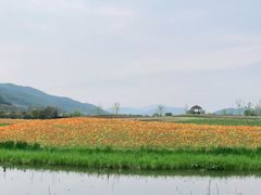 -径山花海