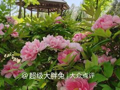 -济南植物园