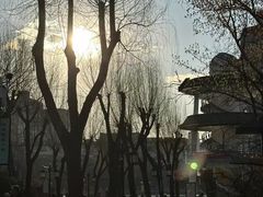 -文瀛公园