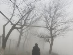 -江南天池
