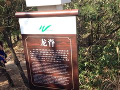 -大罗山风景区