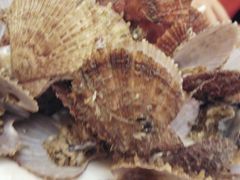 -北方饺子王·海肠捞饭·海鲜锅(山大店)