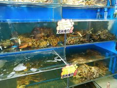 -蚝专家(北滘店)