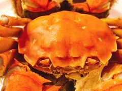 -王宝和酒家(黄浦店)