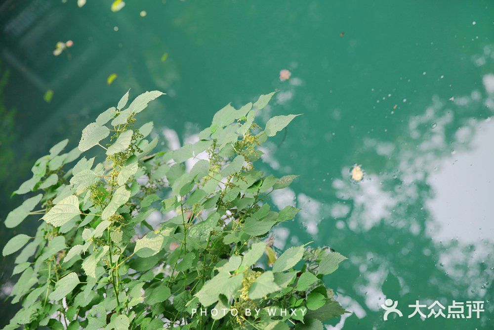 浙大之江校区| 杭州最美大学打卡