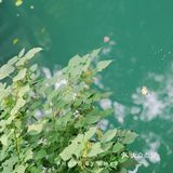 浙大之江校区| 杭州最美大学打卡