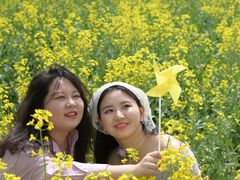 -汉长安城未央宫国家考古遗址公园