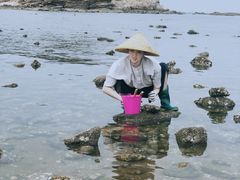 -小石岛景区