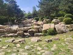-莫子山公园