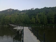 -厦门国家会计学院