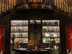 -雪灵魔法世界SHELLY’S TAROT(大良桂畔里店)