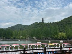 -黄贤森林公园