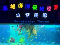 -泉城欧乐堡海洋极地世界