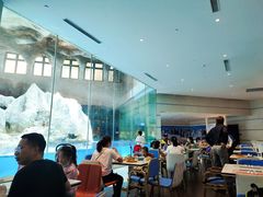 -帝企鹅自助餐厅•儿童岛•真企鹅(长隆企鹅酒店)