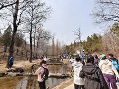 -白水寺森林公园