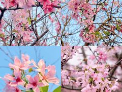 -金成潮菜博物馆(海珠湿地店)