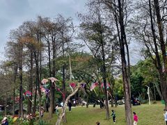 -人民公园(罗湖区)