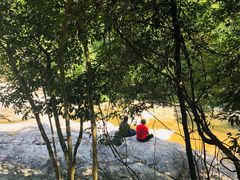 -广州白江湖森林公园