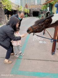 -宝燕乐园(闵行旗舰店)