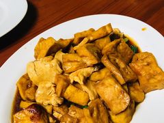 -绿光森林餐厅